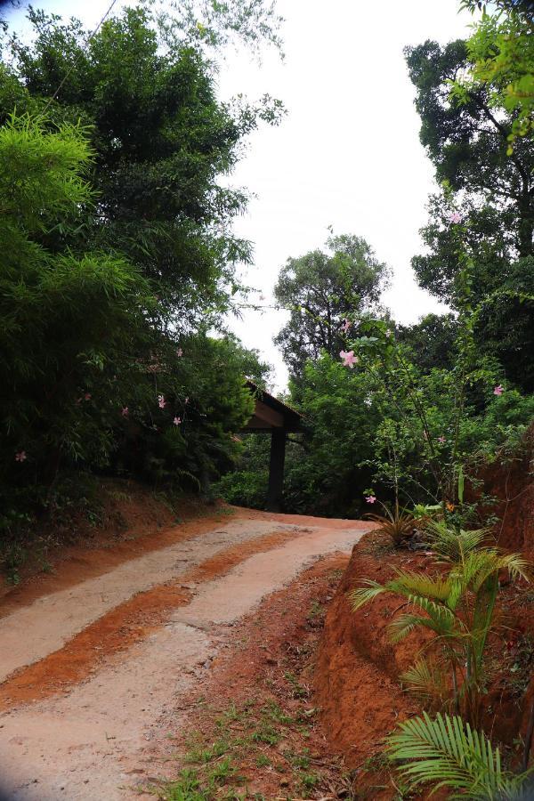 Coorg Nature Breeze Home Stay Мадикери Экстерьер фото