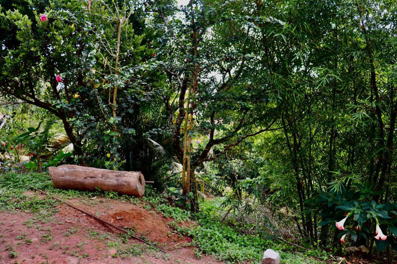 Coorg Nature Breeze Home Stay Мадикери Экстерьер фото